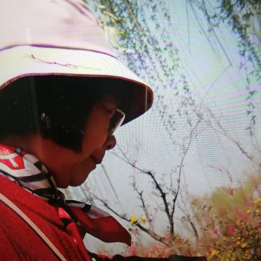 芳🌸