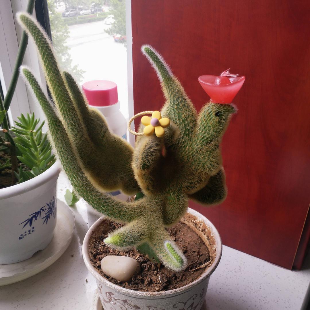 顺其自然