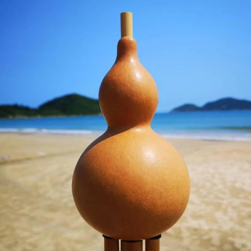 木生葫芦丝