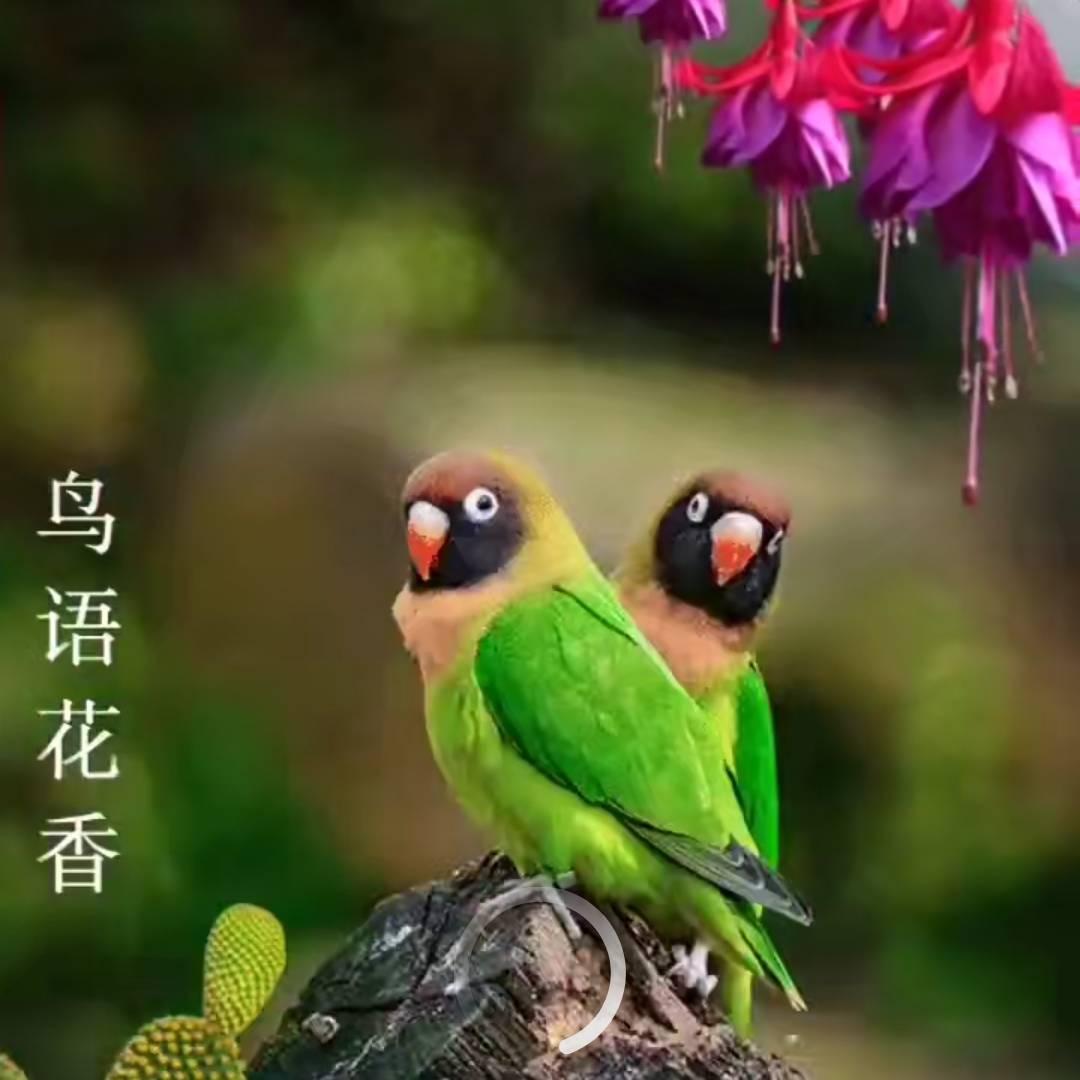 健康就是福