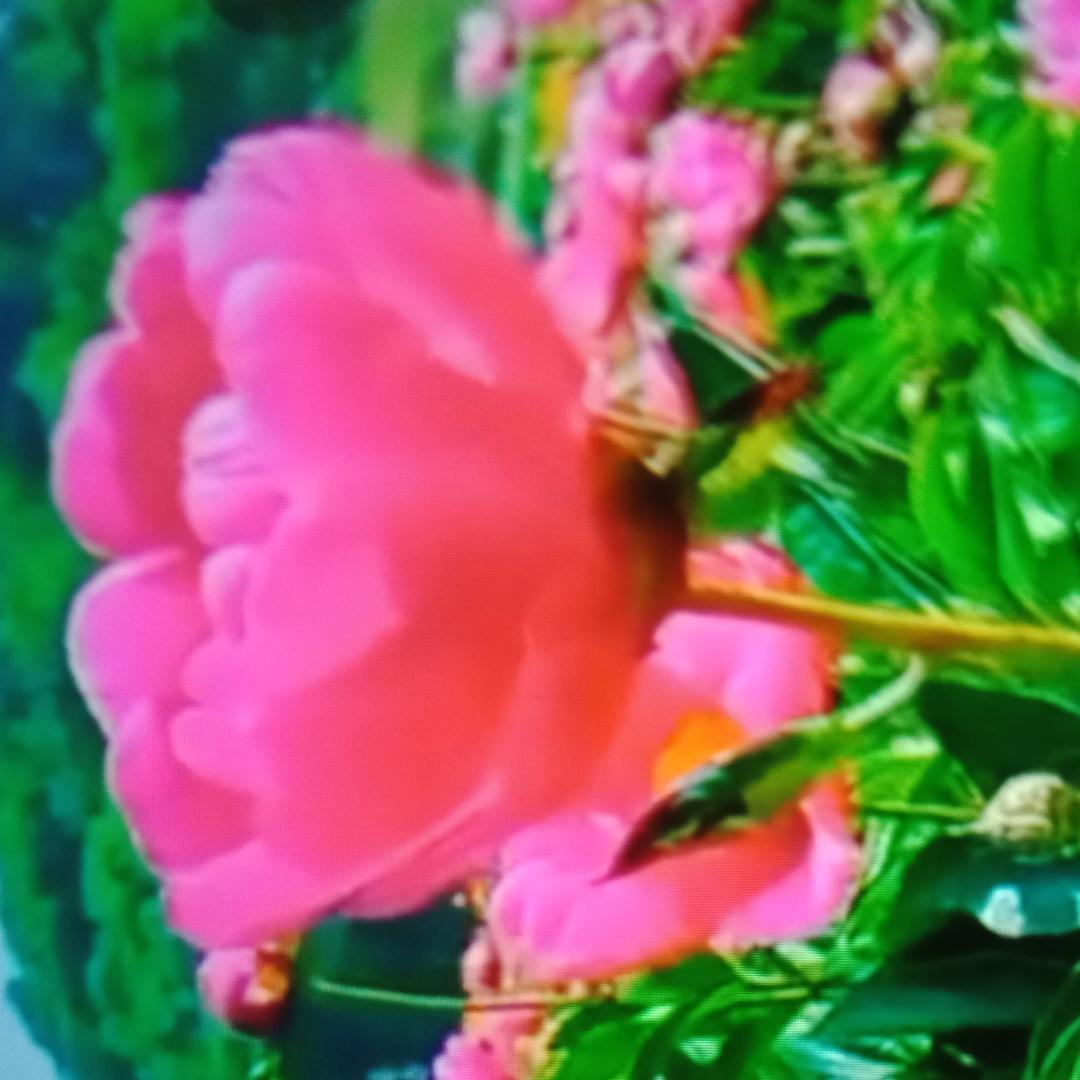 #￥随缘