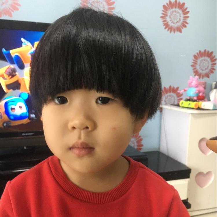 了不起我的祖国