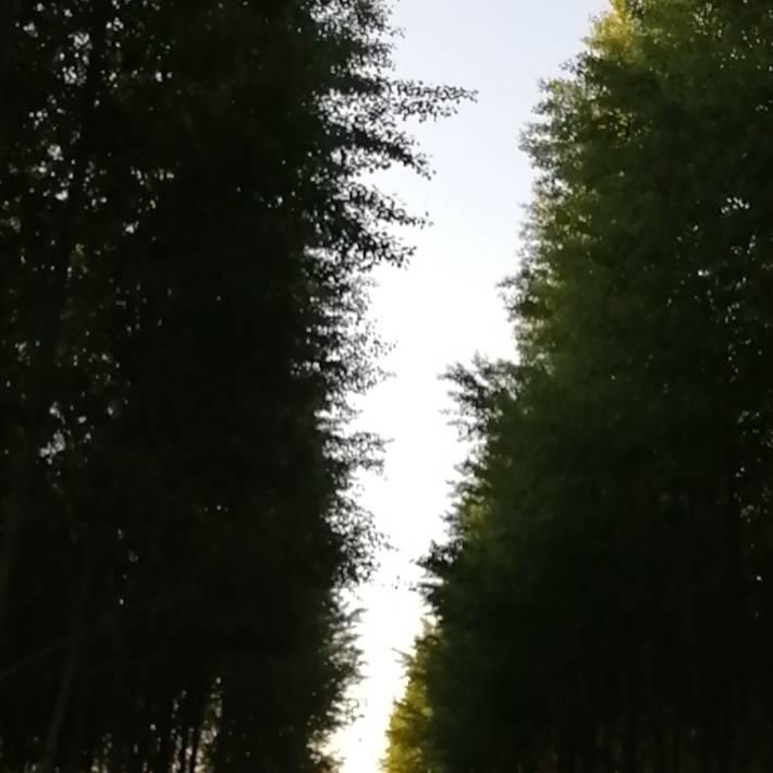 🌻温馨🌻