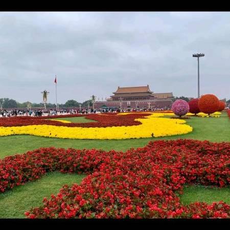 江湖风雨，残月孤阳
