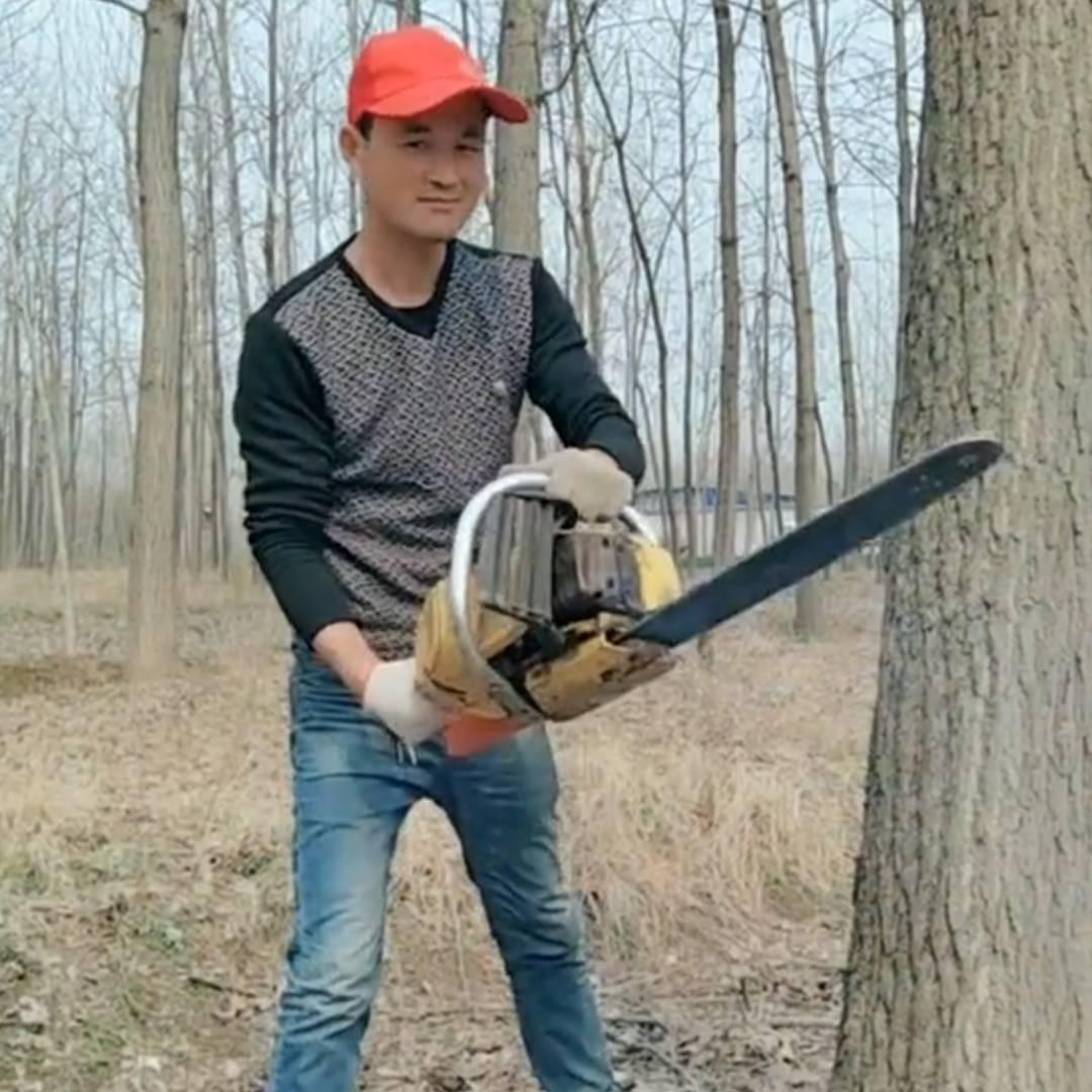 成哥 🇨🇳银杏园