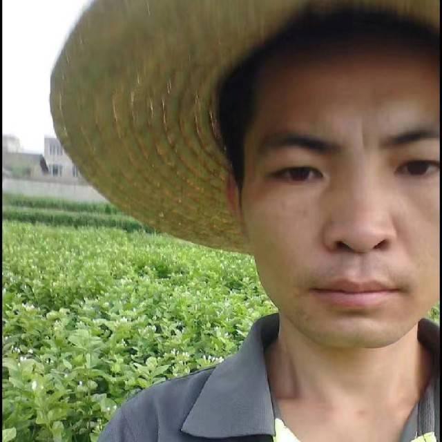 爱情鸟。。。。|