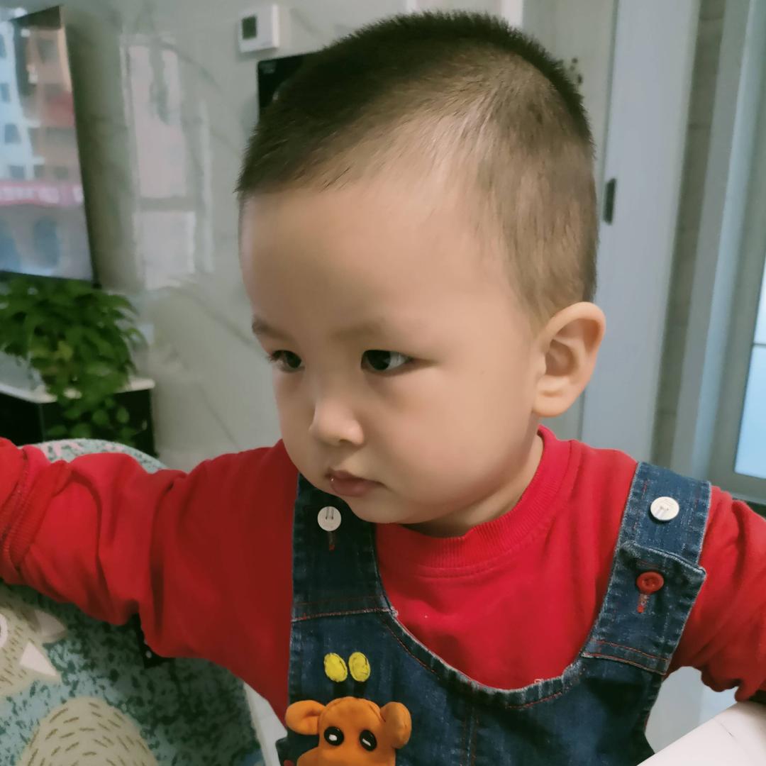 小橙子带你看世界