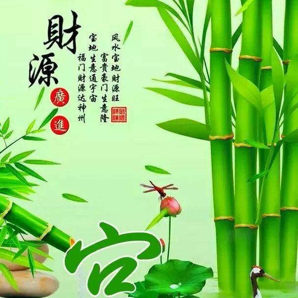 随心所欲玩