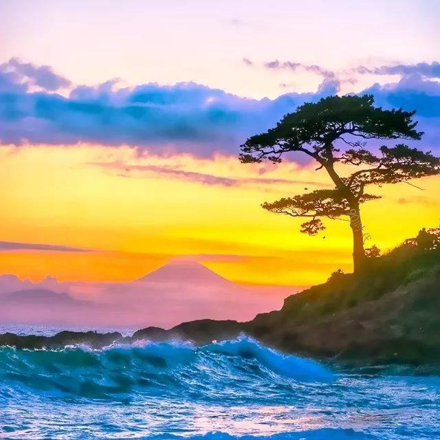 意悠悠