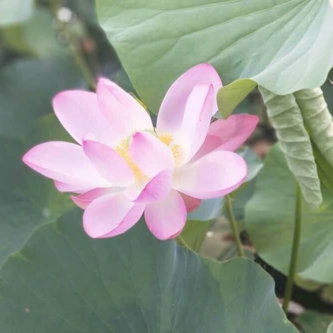 安等暖阳79