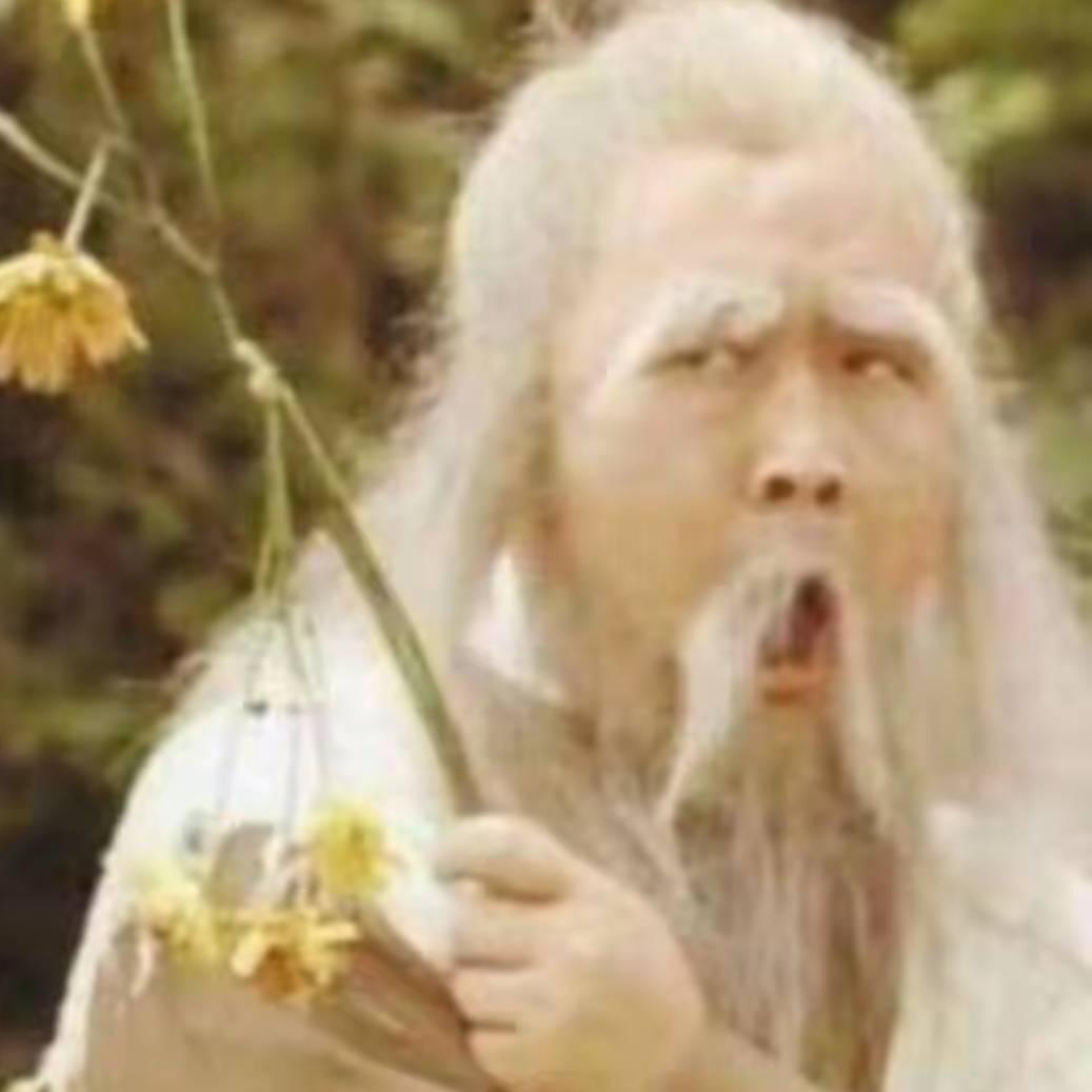 wazinan老顽童