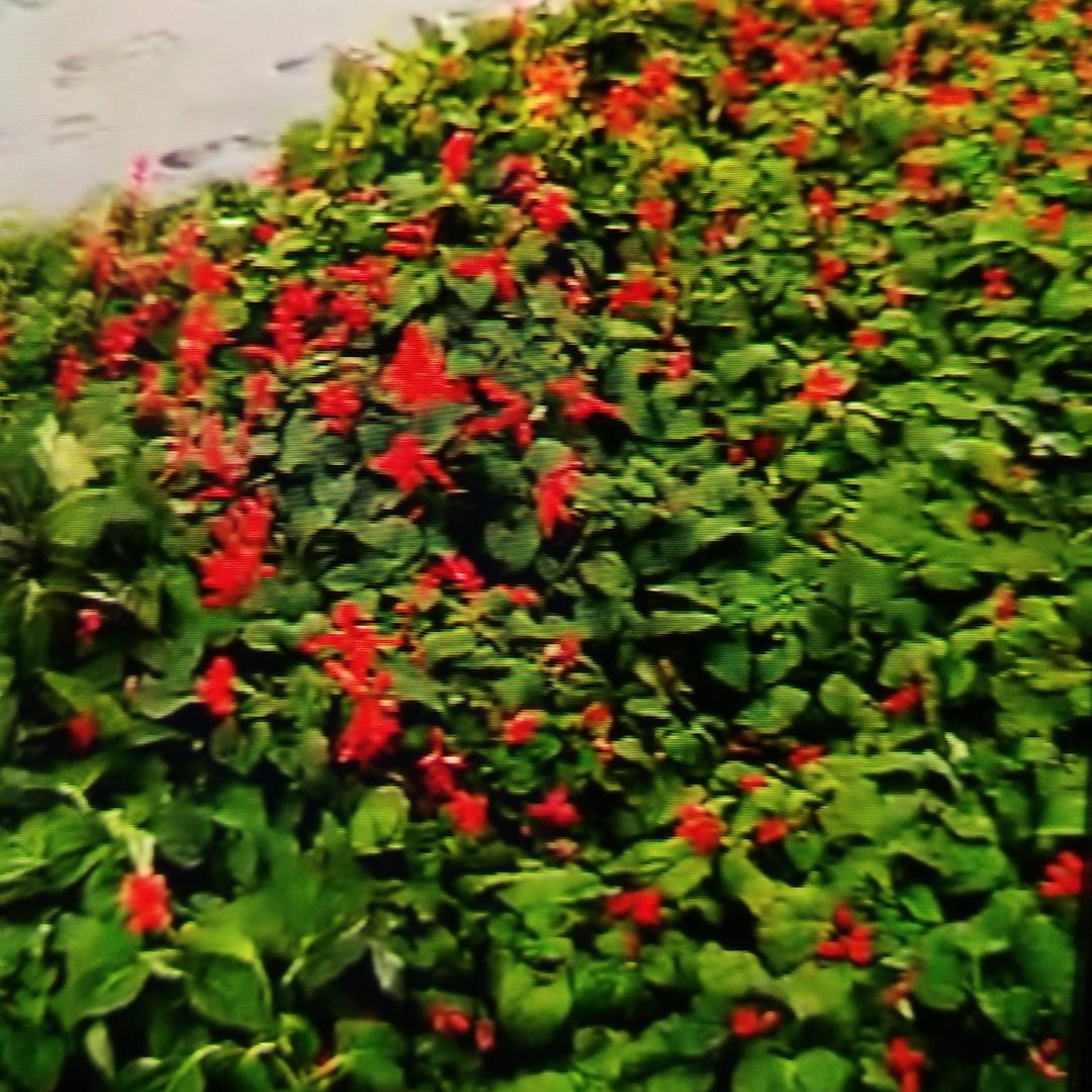 就说就说
