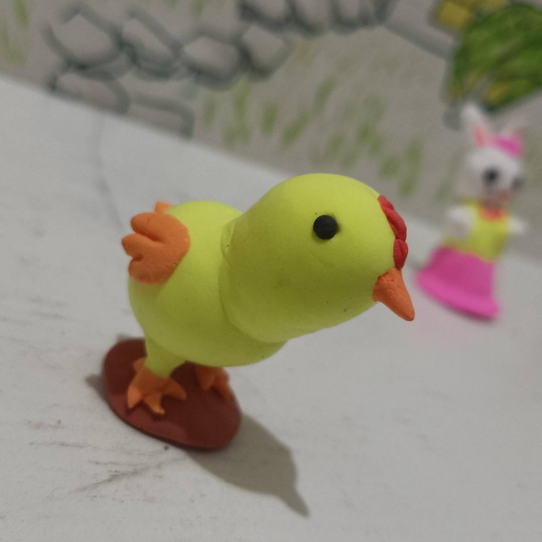 小鸡🐔动物园