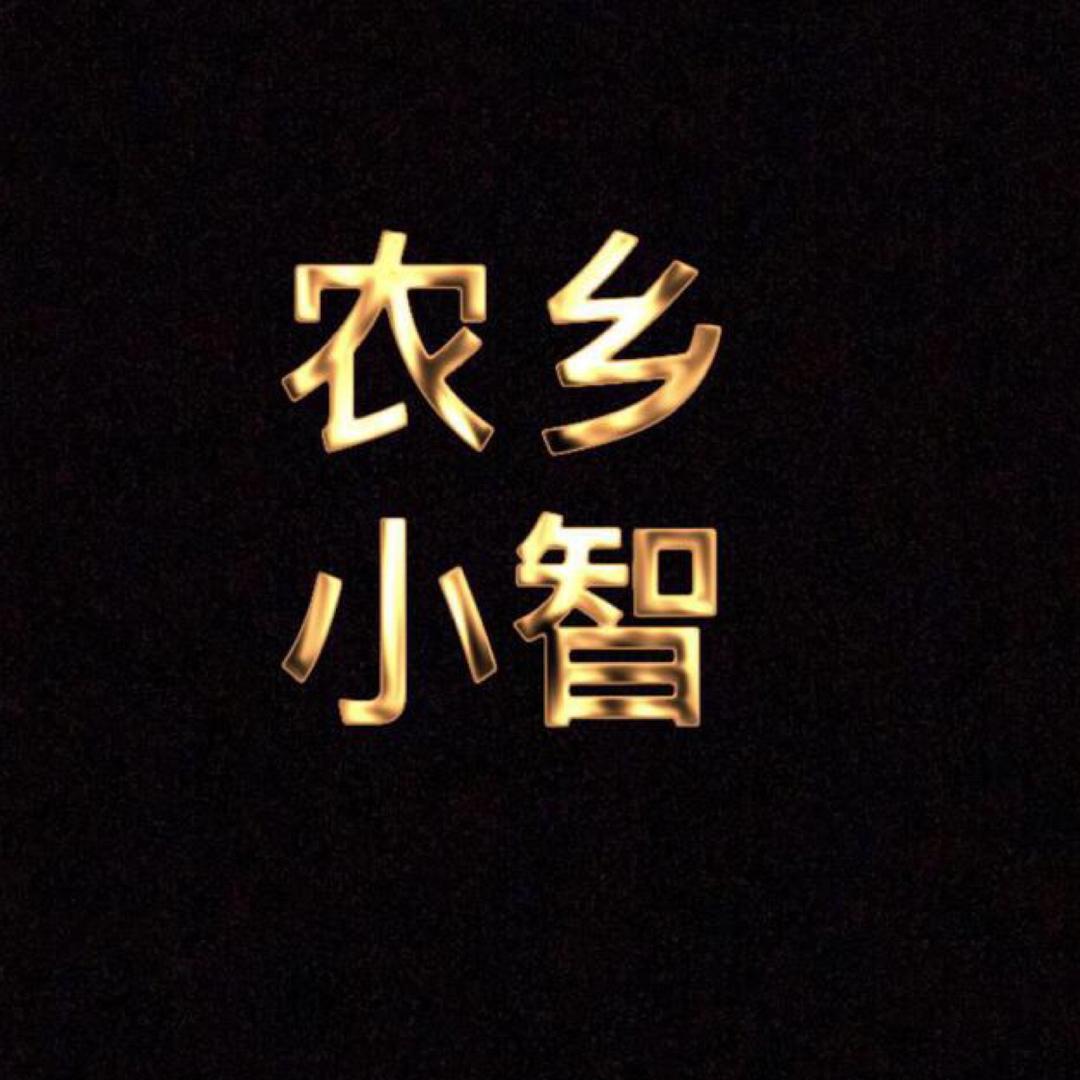 农乡小智《胡蜂养殖》