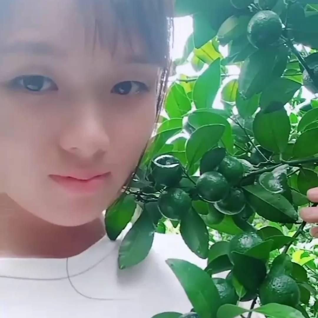 砂糖橘🍊 妹妹