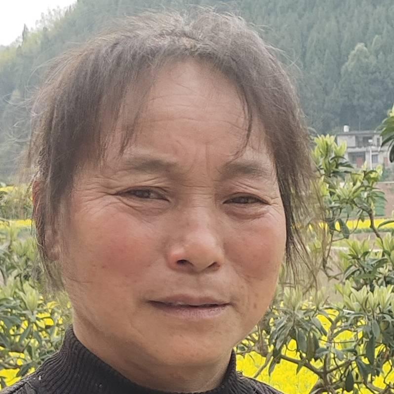 如意6956