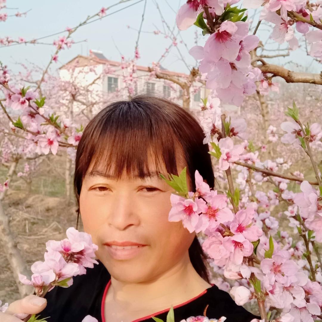 张梅