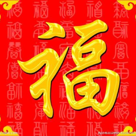 金金的余生要好好爱自己