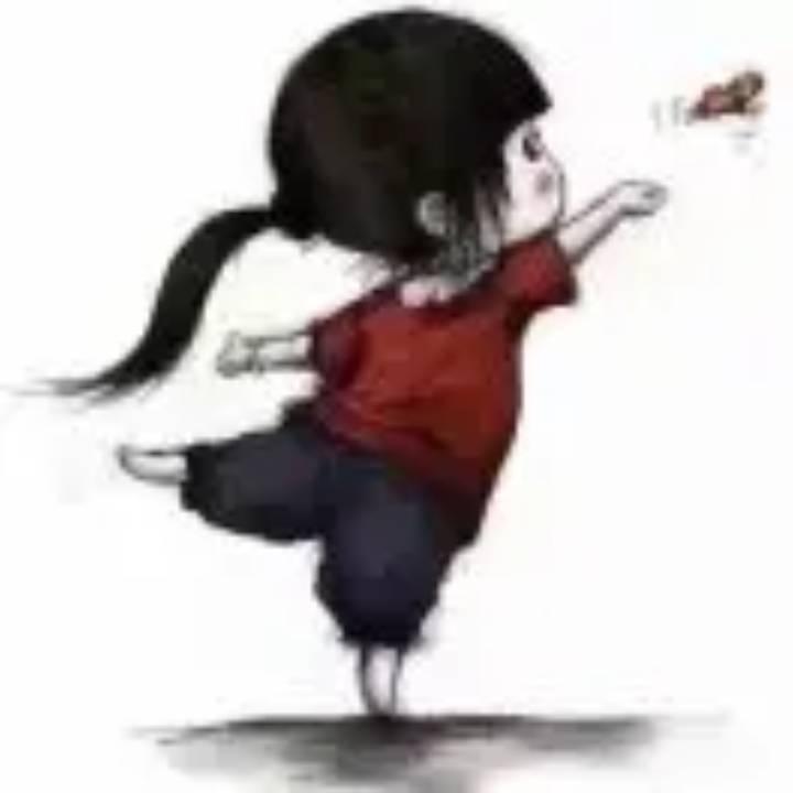 转*罒▽罒*