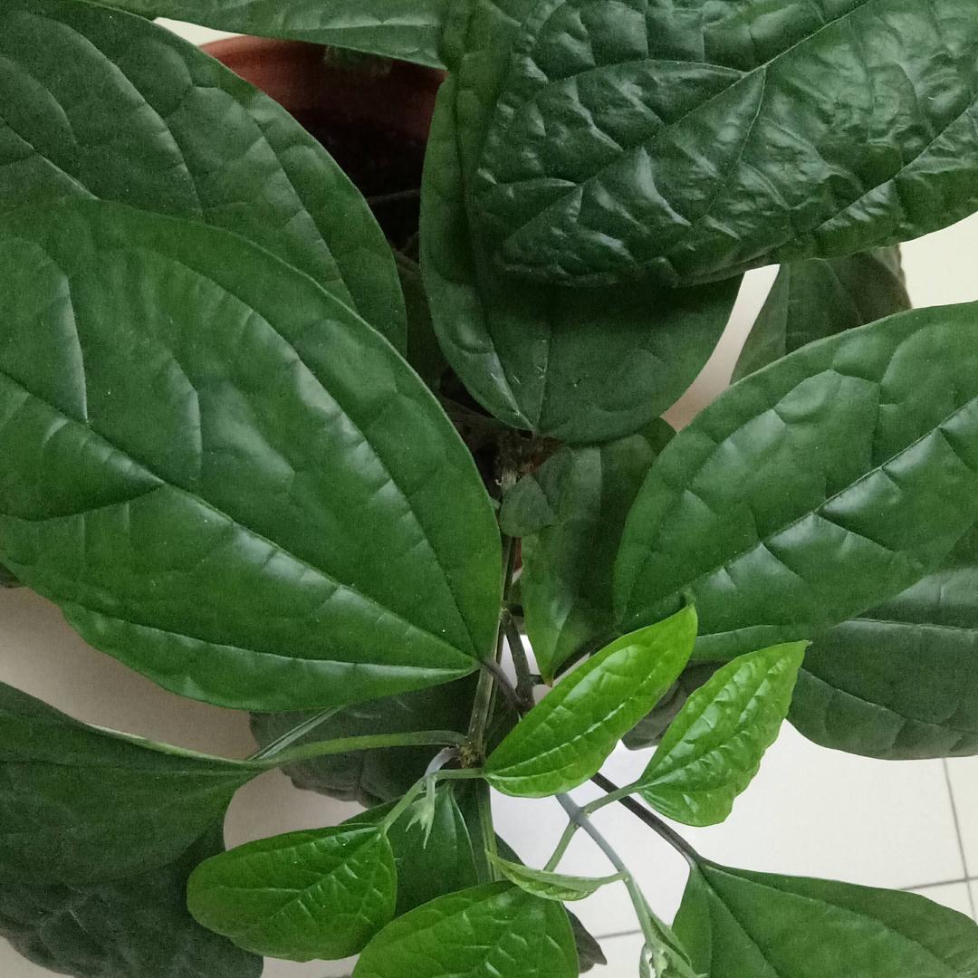 爱生活我有妙招