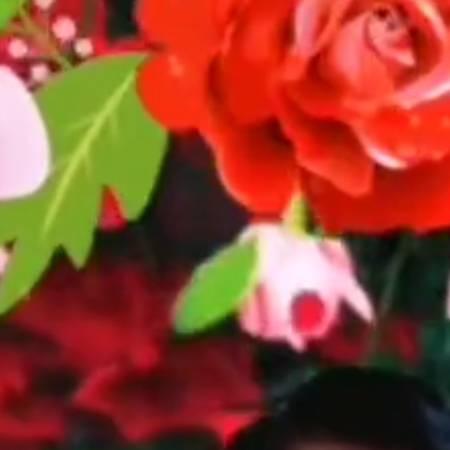 小桃桃