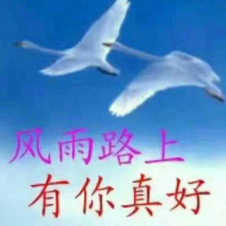 偶遇
