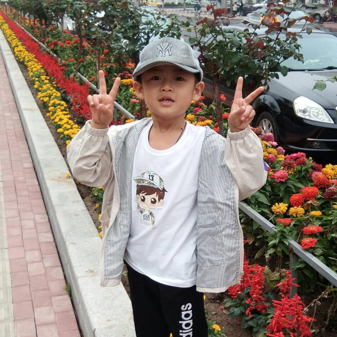 a一只小羊