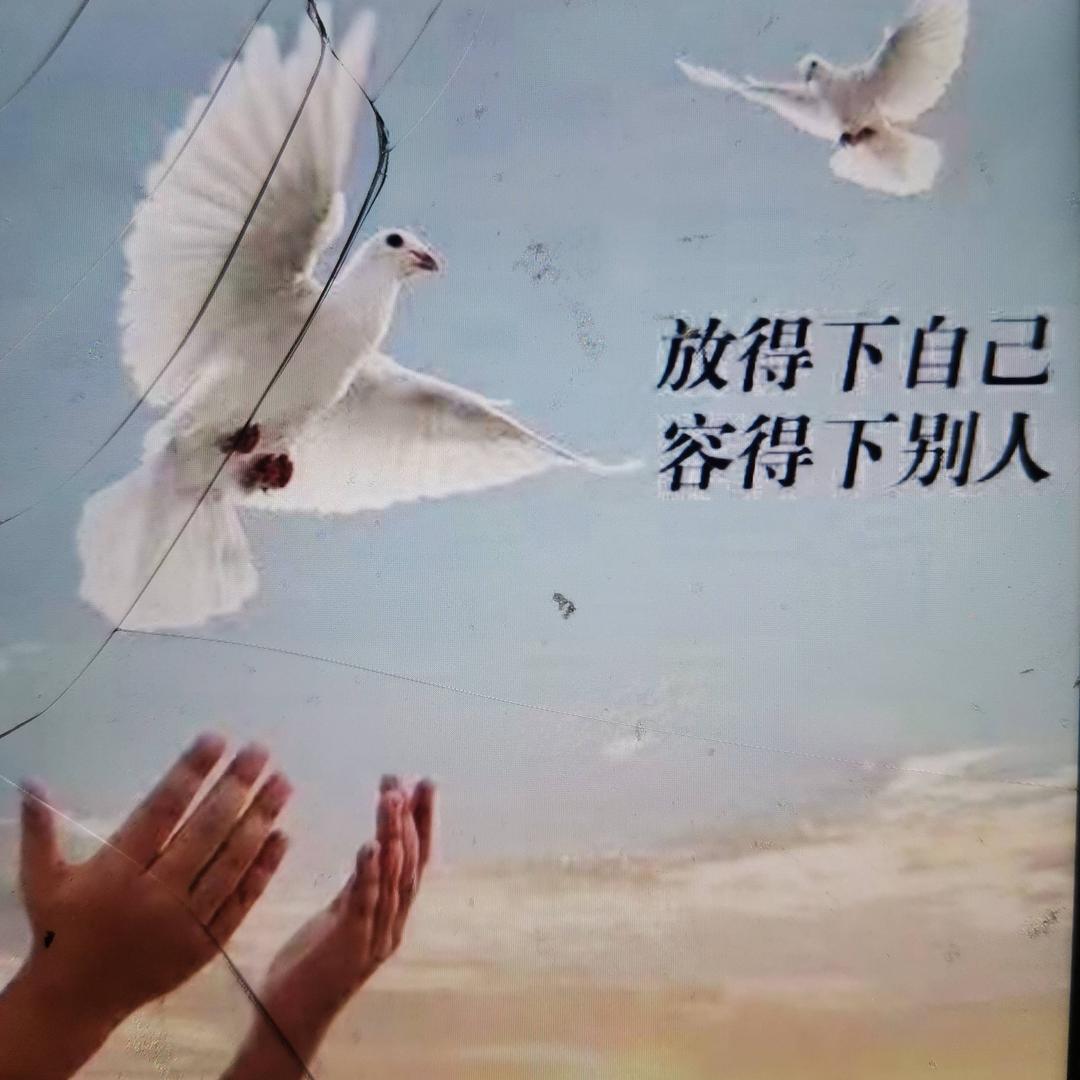 小于老师8812