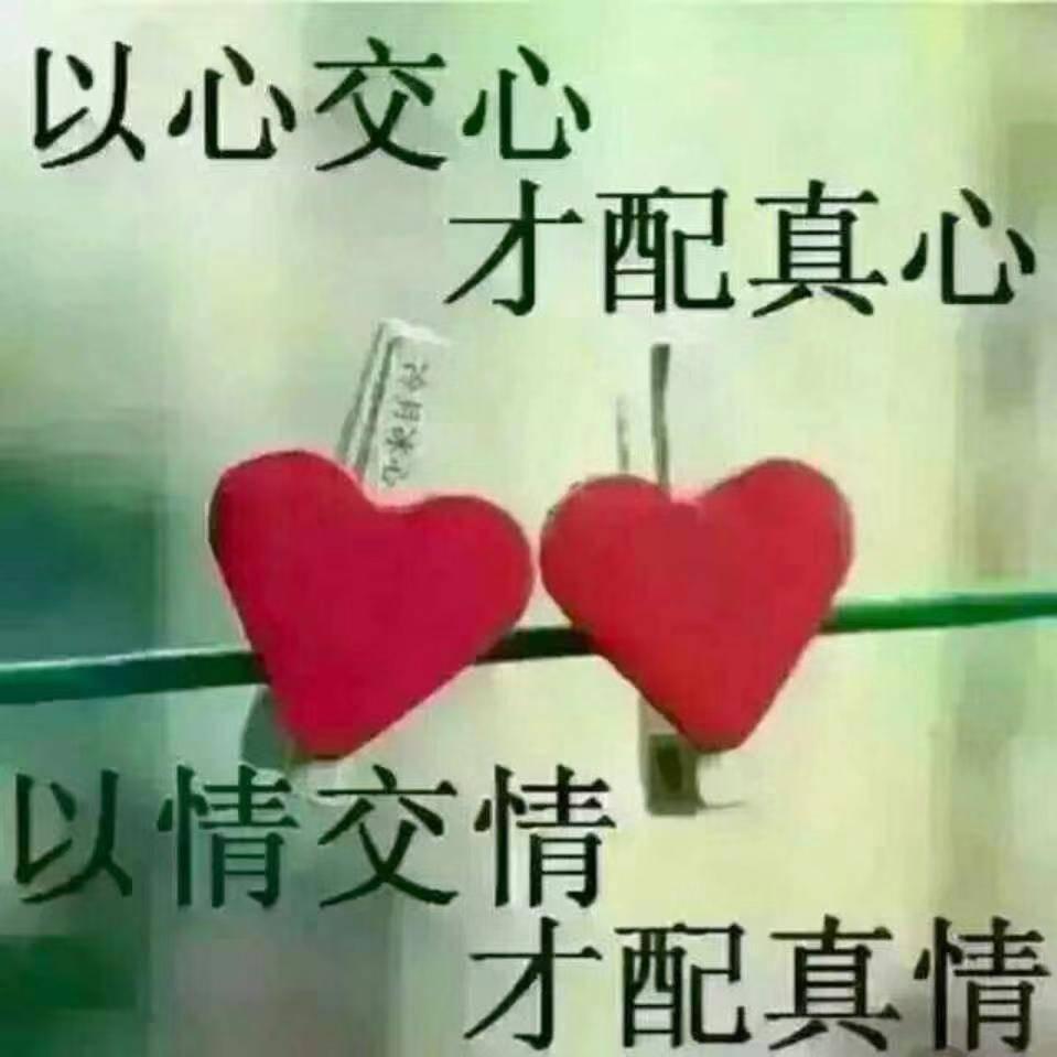 《自由飞翔》