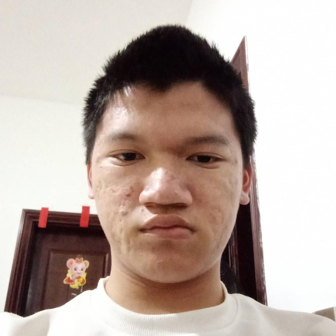 龙飞凤舞