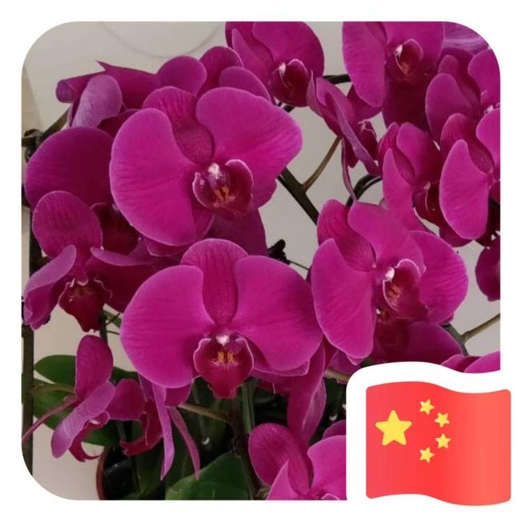 静思姐❤️❤️❤️