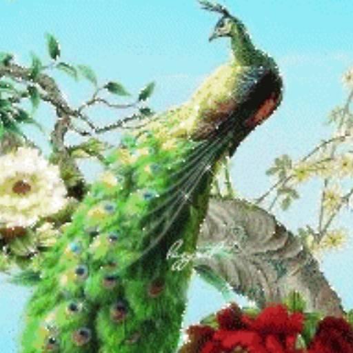 静思悔