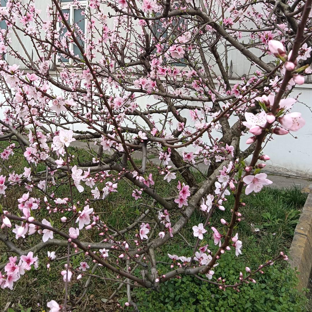 大家好8573