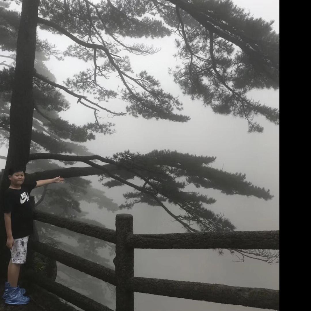 阳光33307855