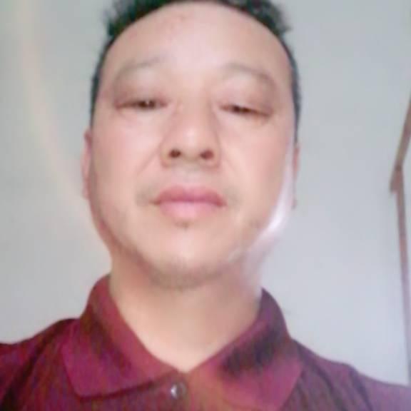 二：我是一棵小草