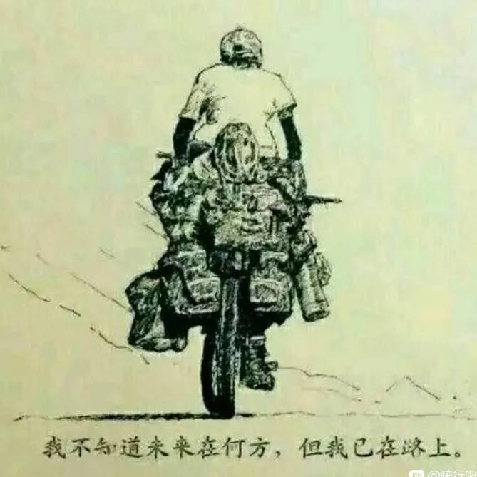 躺平CEO