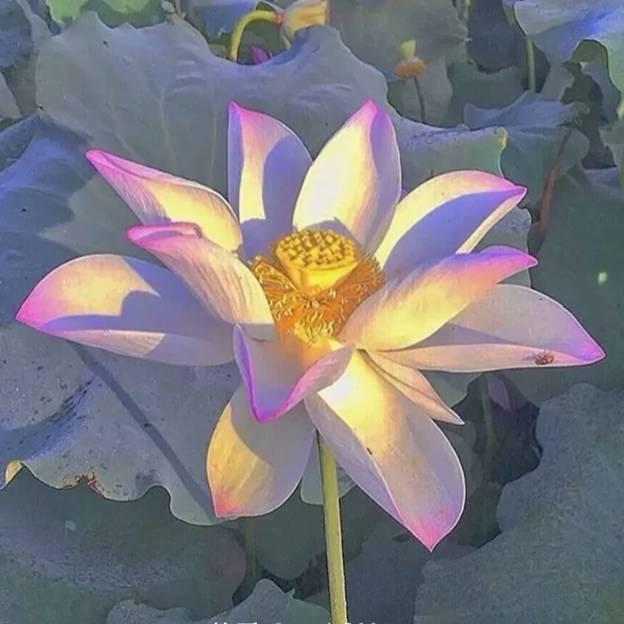 快乐每一天1314