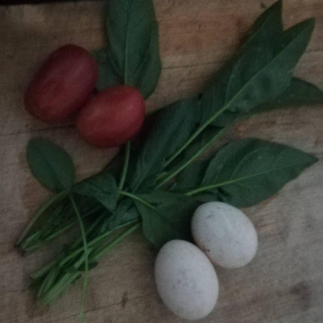 人生孰能少了饭