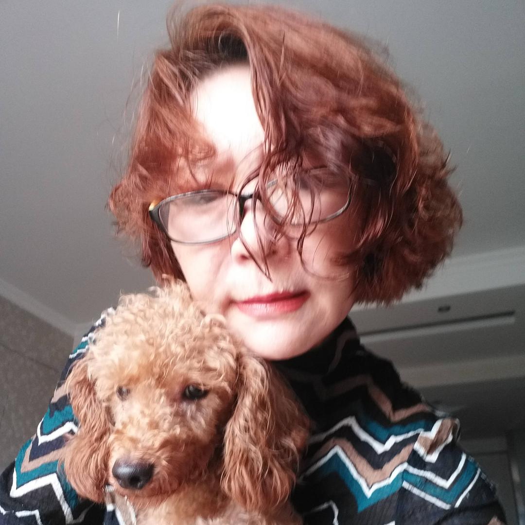 焦作市志愿者小动物保护团队妙婵救助基地