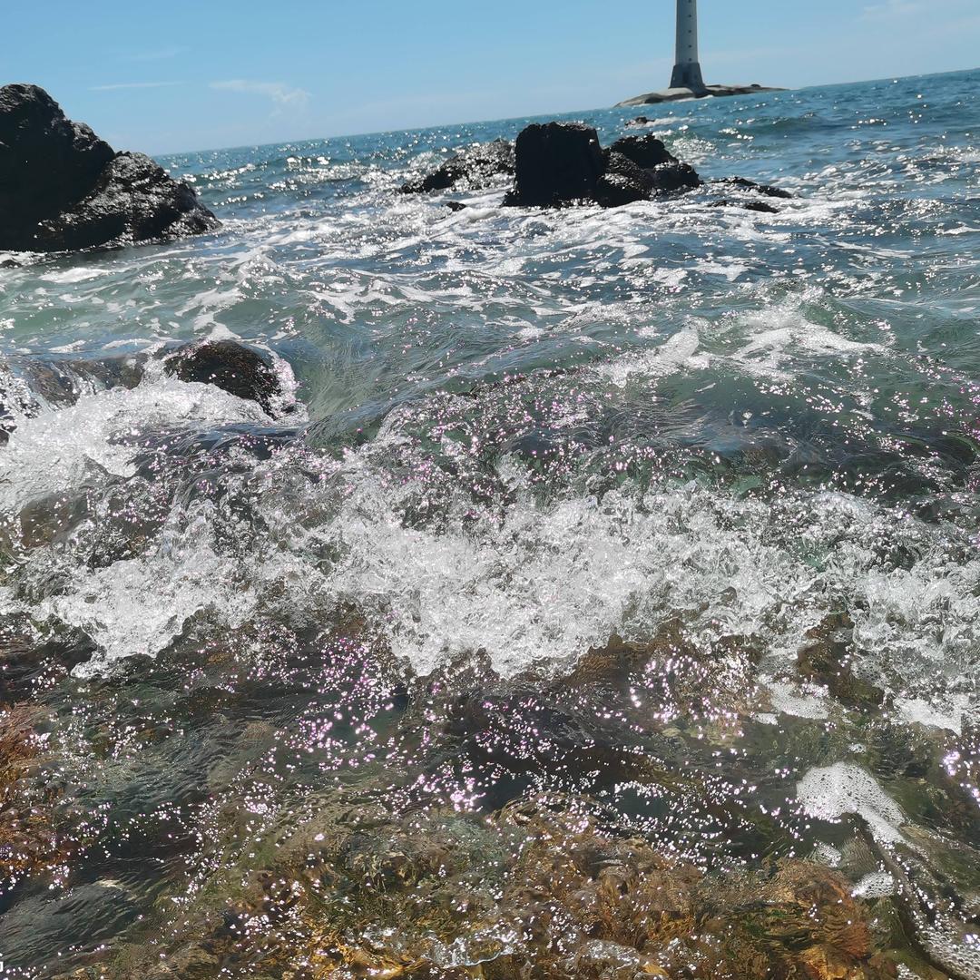 ༺࿈猫咪没有了鱼࿈༻