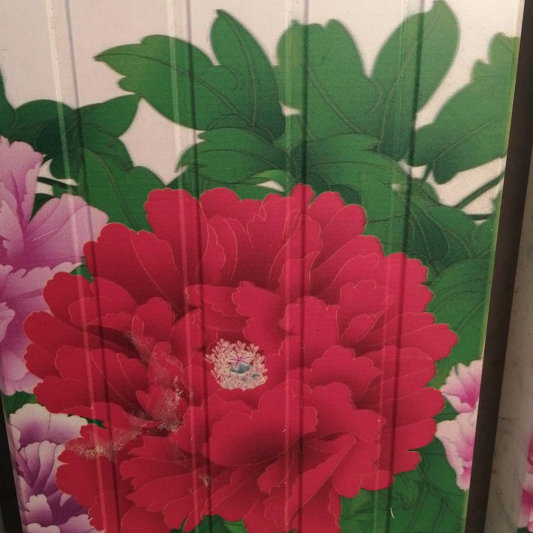 战淑兰
