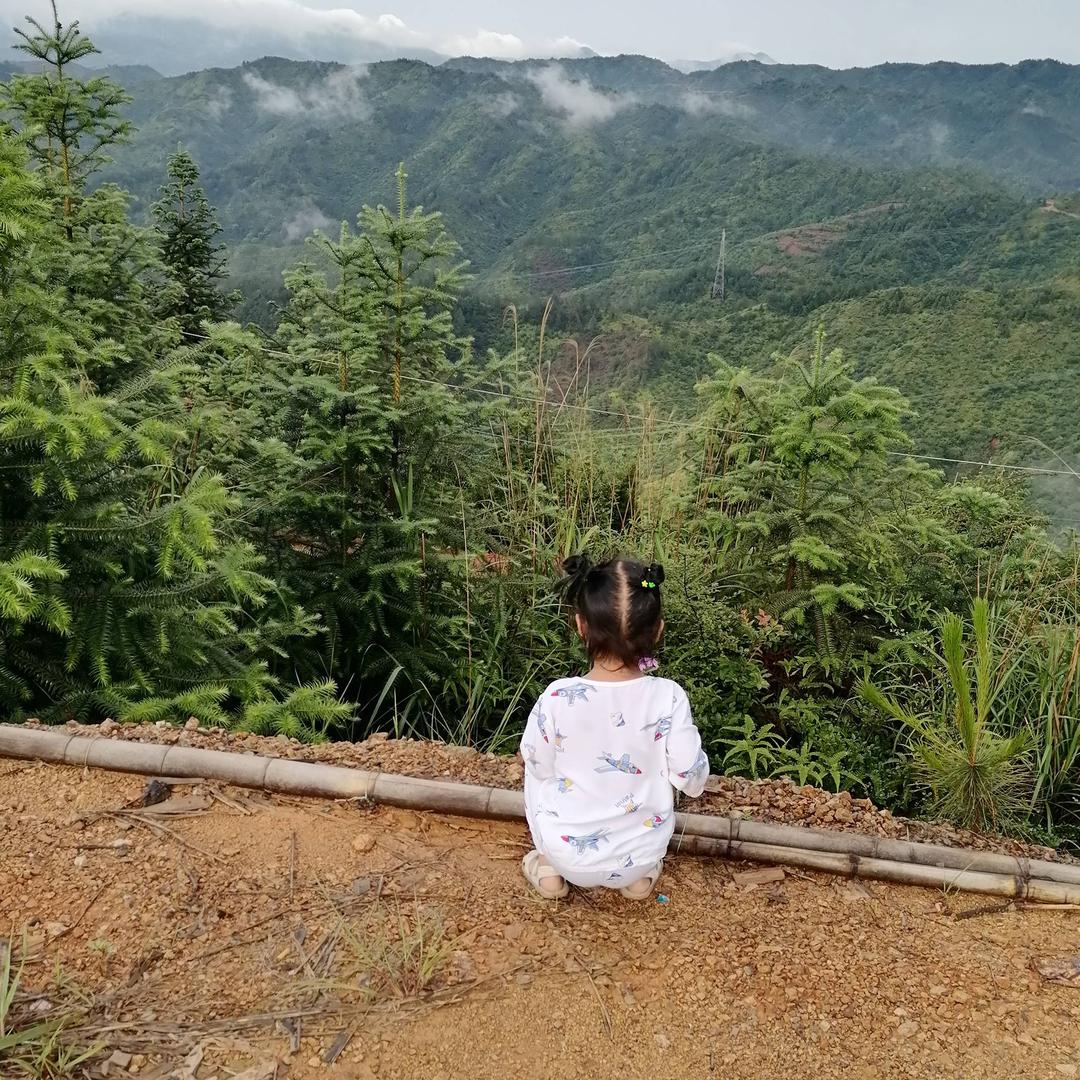 有机生态养殖基地