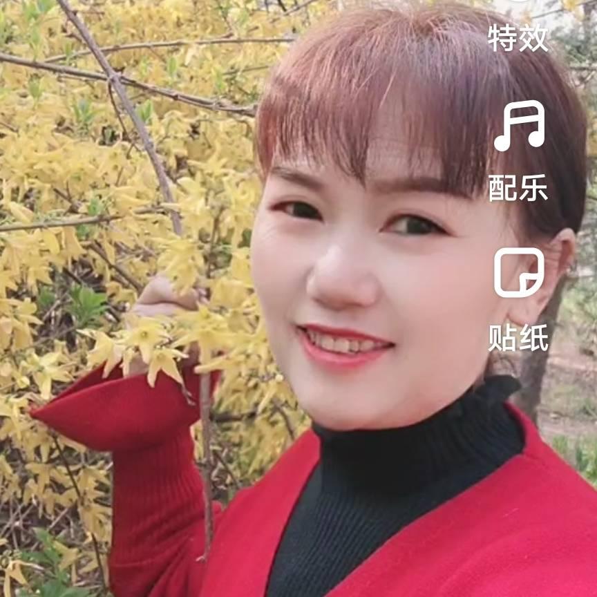 花姐姐