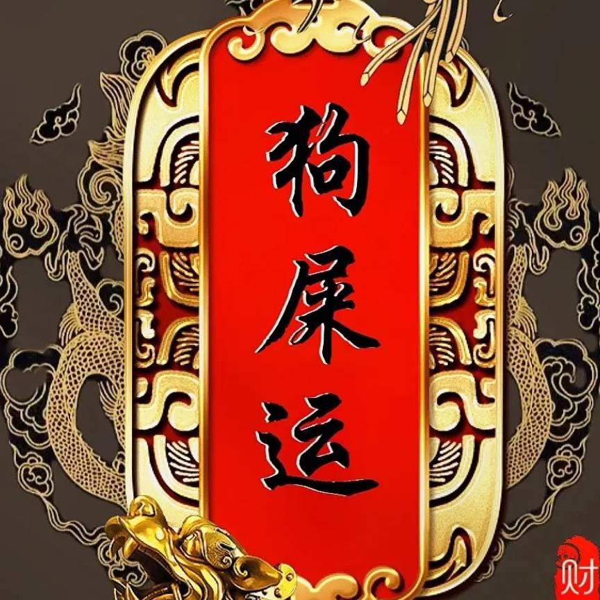 西北宋哥