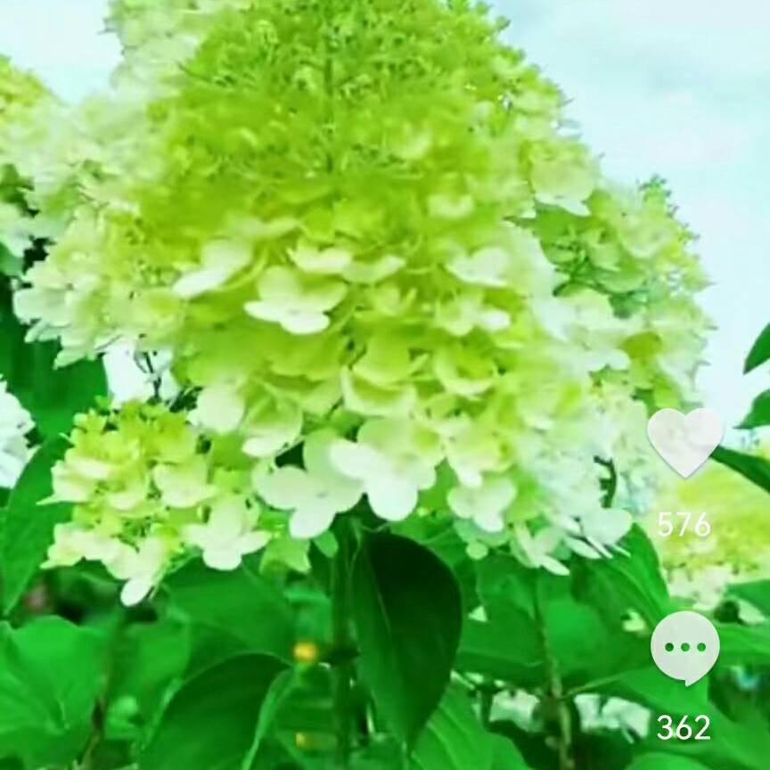 珍惜今生缘