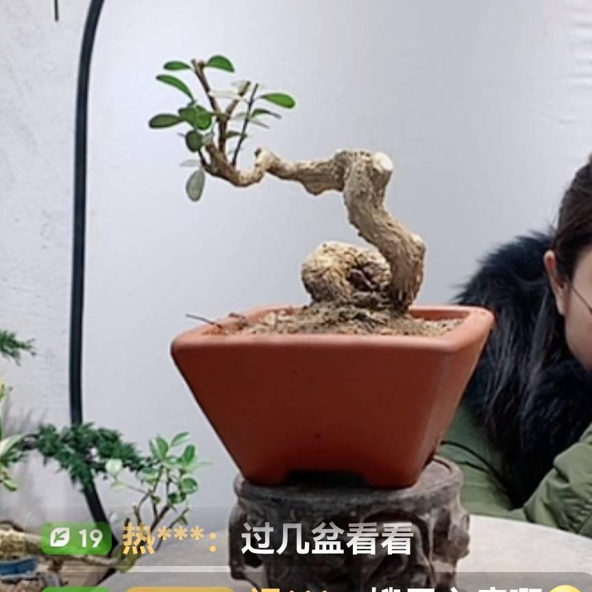 永远会想。