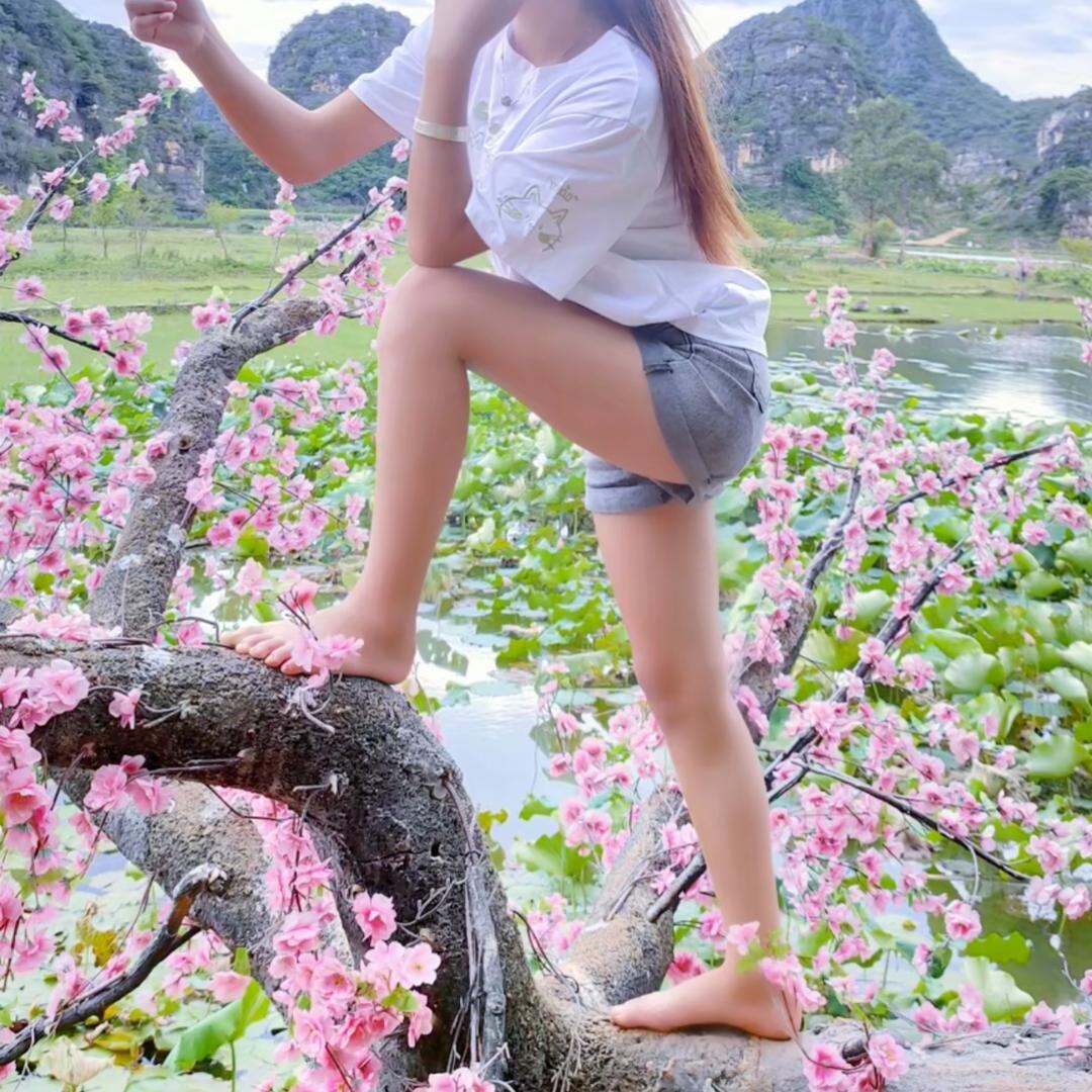 丽❤️欣缘