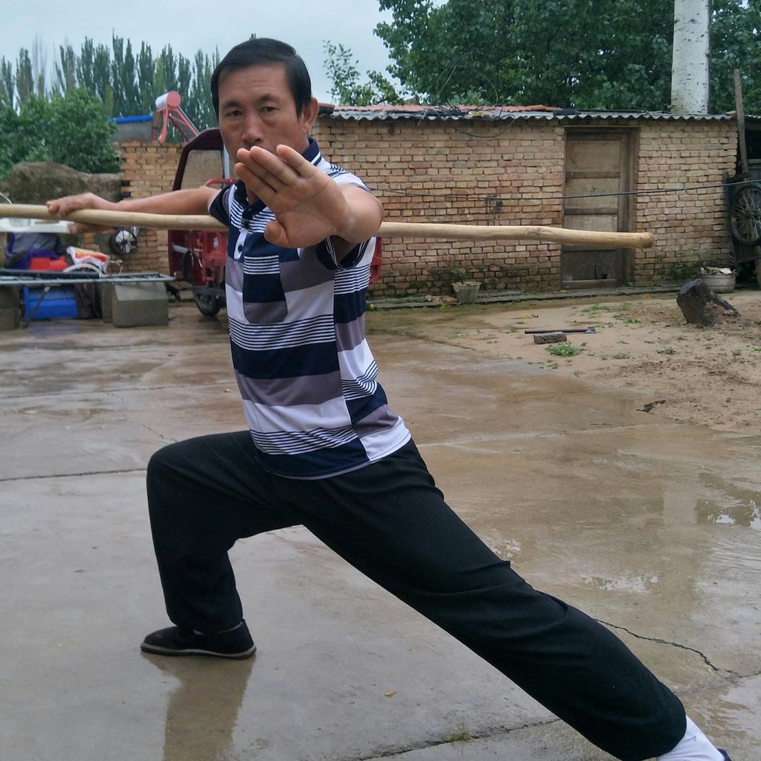 飞龙武术