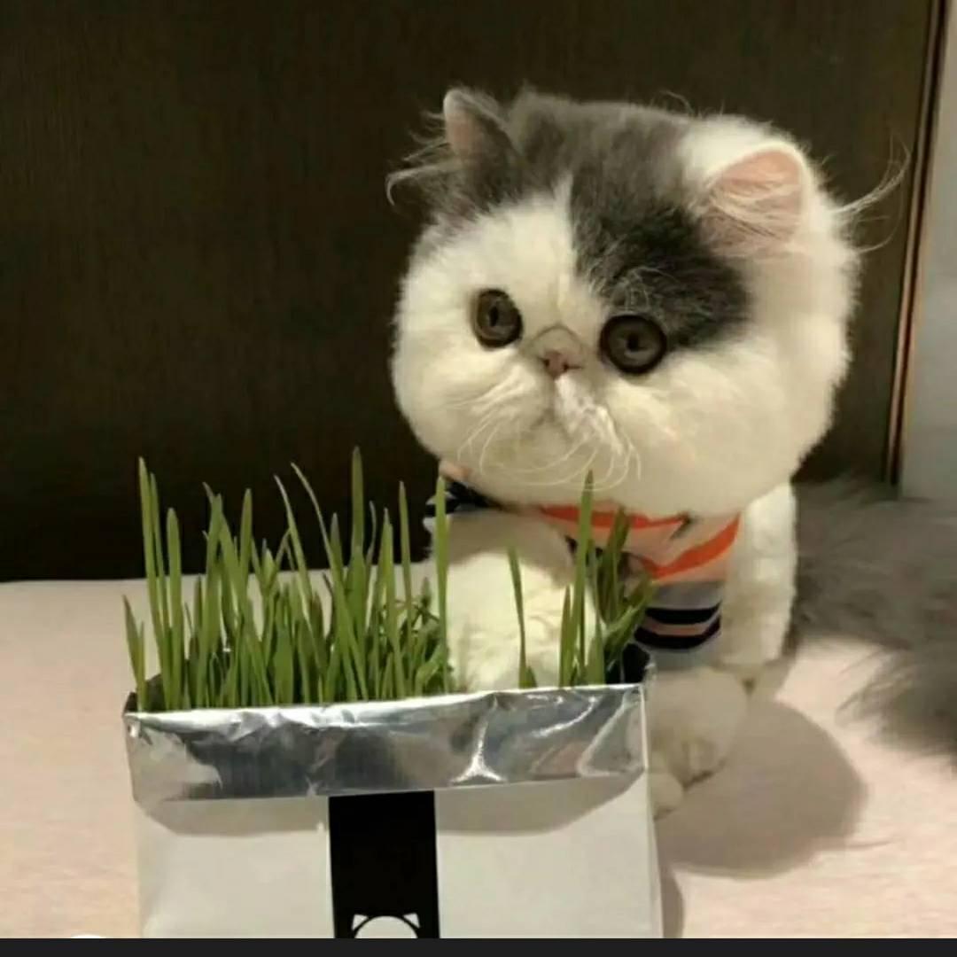 四季永恒