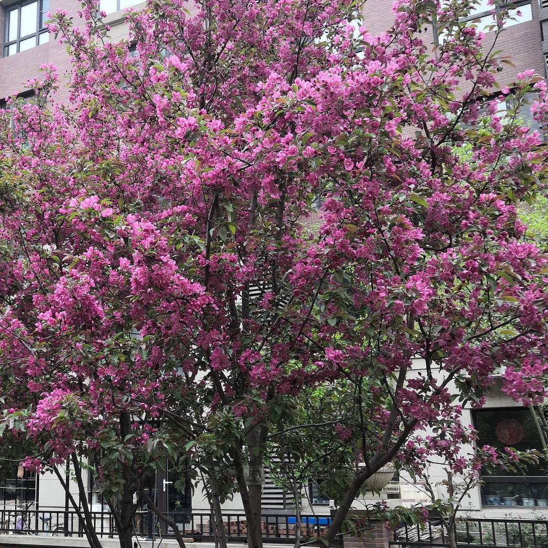小土豆时光头像